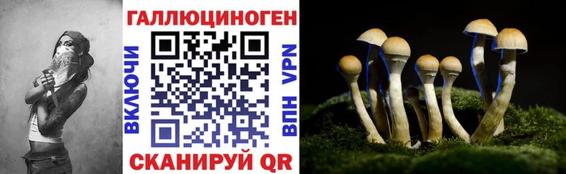 Галлюциногенные грибы ЛСД Тайшет